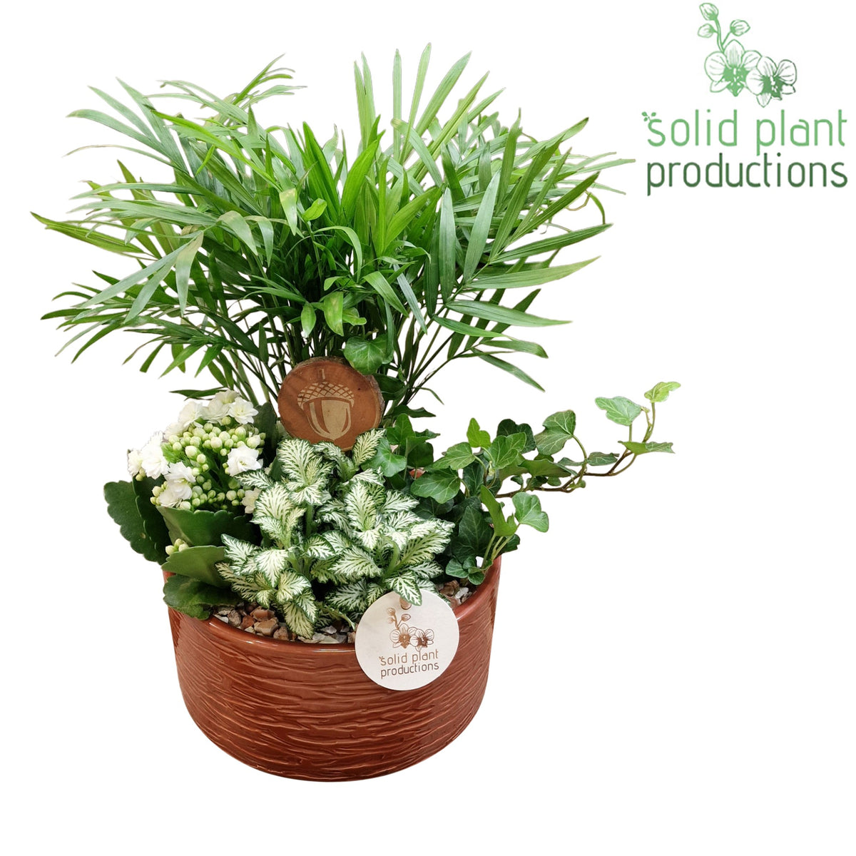 CH003 Loes Brown 38cm 18cm Pot