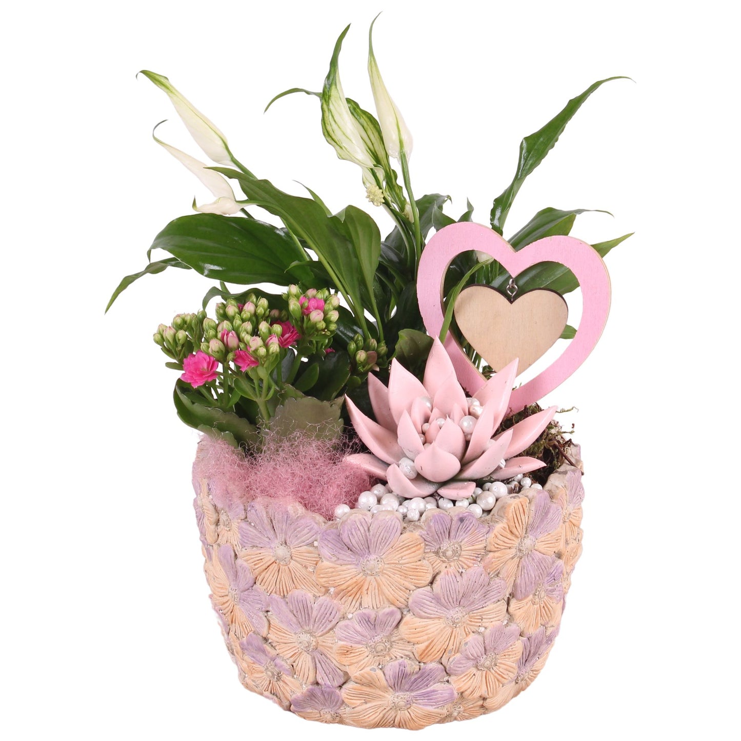 Indoor arrangement 25cm 18cm Pot