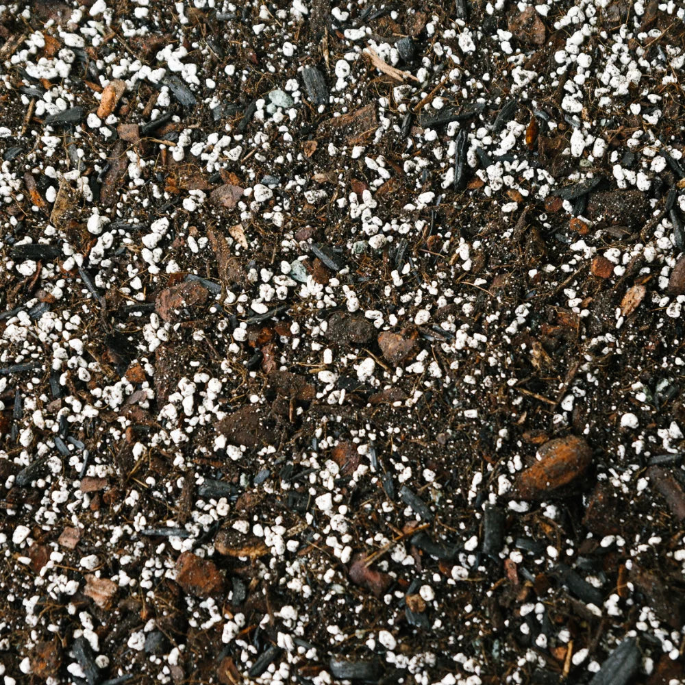Soil Ninja Anthurium & Orchid Blend