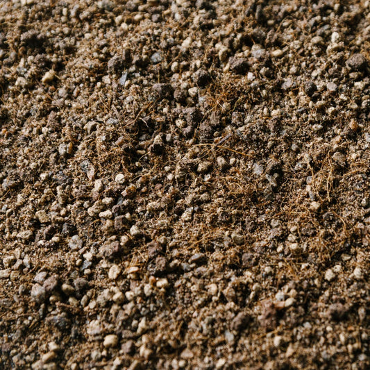 Soil Ninja Cacti and Succulent Blend