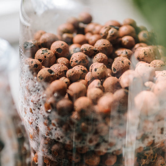Soil Ninja Clay Pebbles