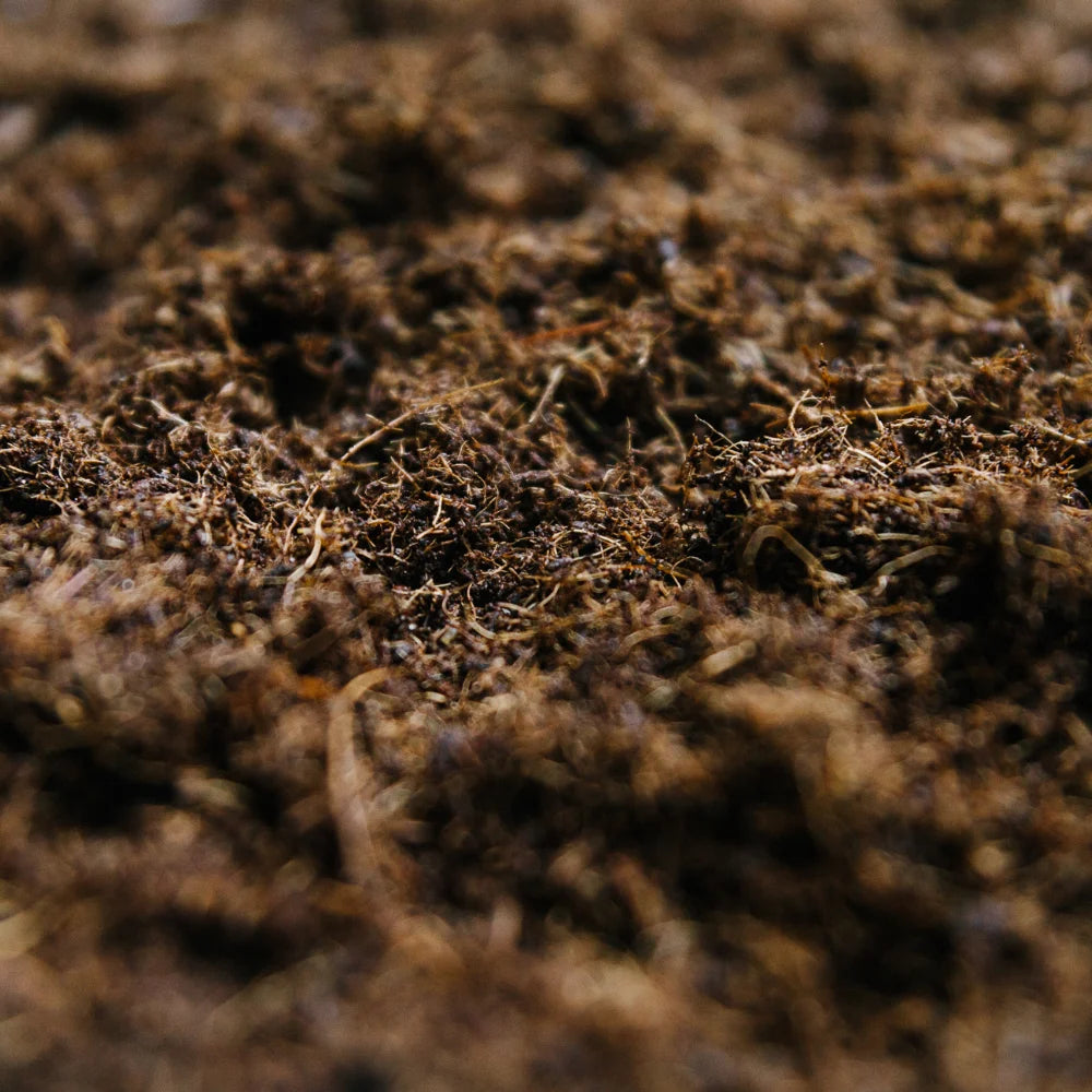 Soil Ninja Coco Coir