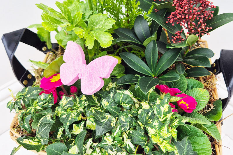 Wholesale Pots & Planters: How to Build a ‘Good/Better/Best’ Range That Sells