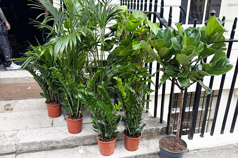 Commercial Planting Quotes: A Simple Method to Cost Projects (Plants, Planters, Labour, Maintenance)