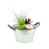 Aquatic Plants