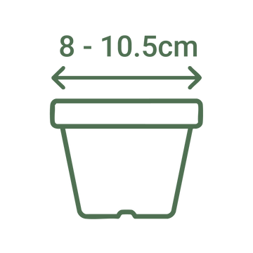 8 - 10.5cm Dia