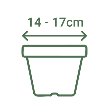 14 - 17cm Dia