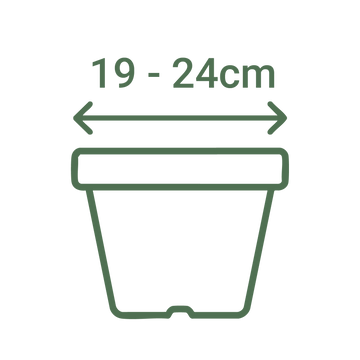 19 - 24cm Dia