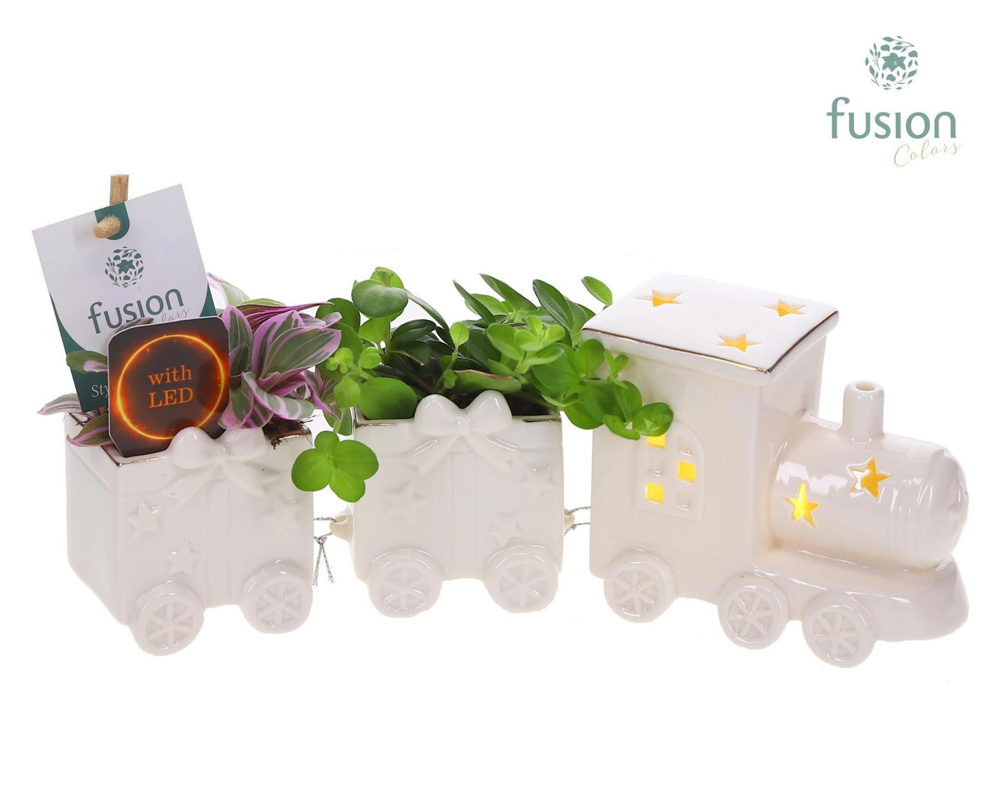 Fusioncolors BV Keramiek LED Trein Small met Groenen planten 2pp Pack of 5