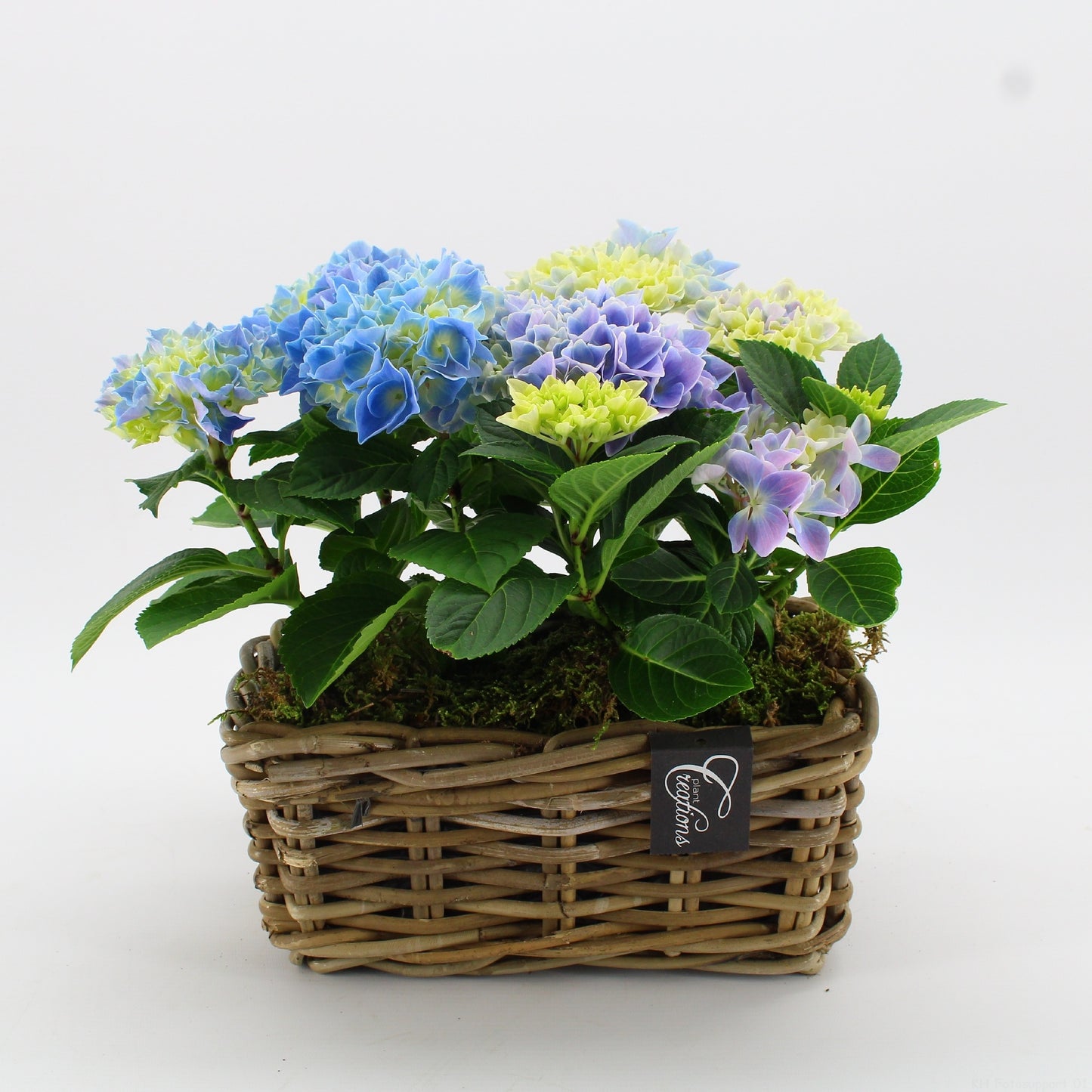 KHCR-2611B Hydrangea creations 30cm 27cm Pot