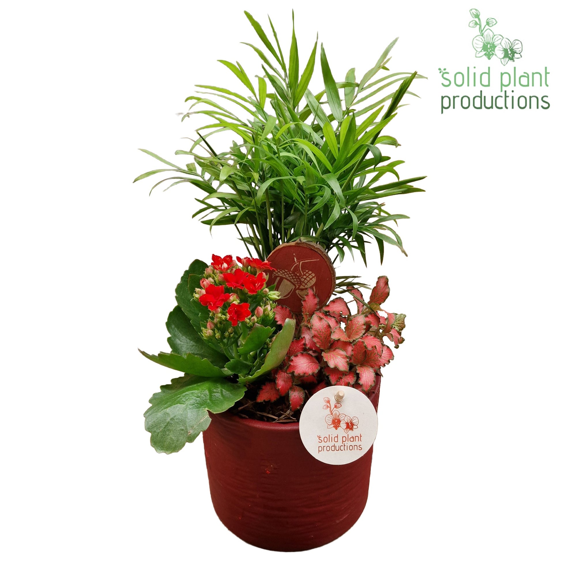 CH001 Amy Red 35cm 13cm Pot