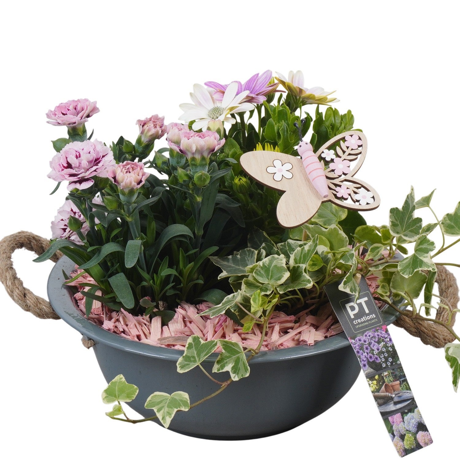 Outdoor arrangement 24cm 24cm Pot