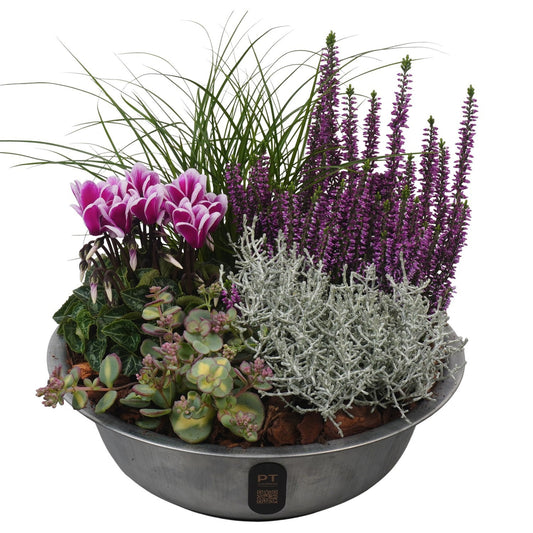 Outdoor arrangement 32cm 29cm Pot