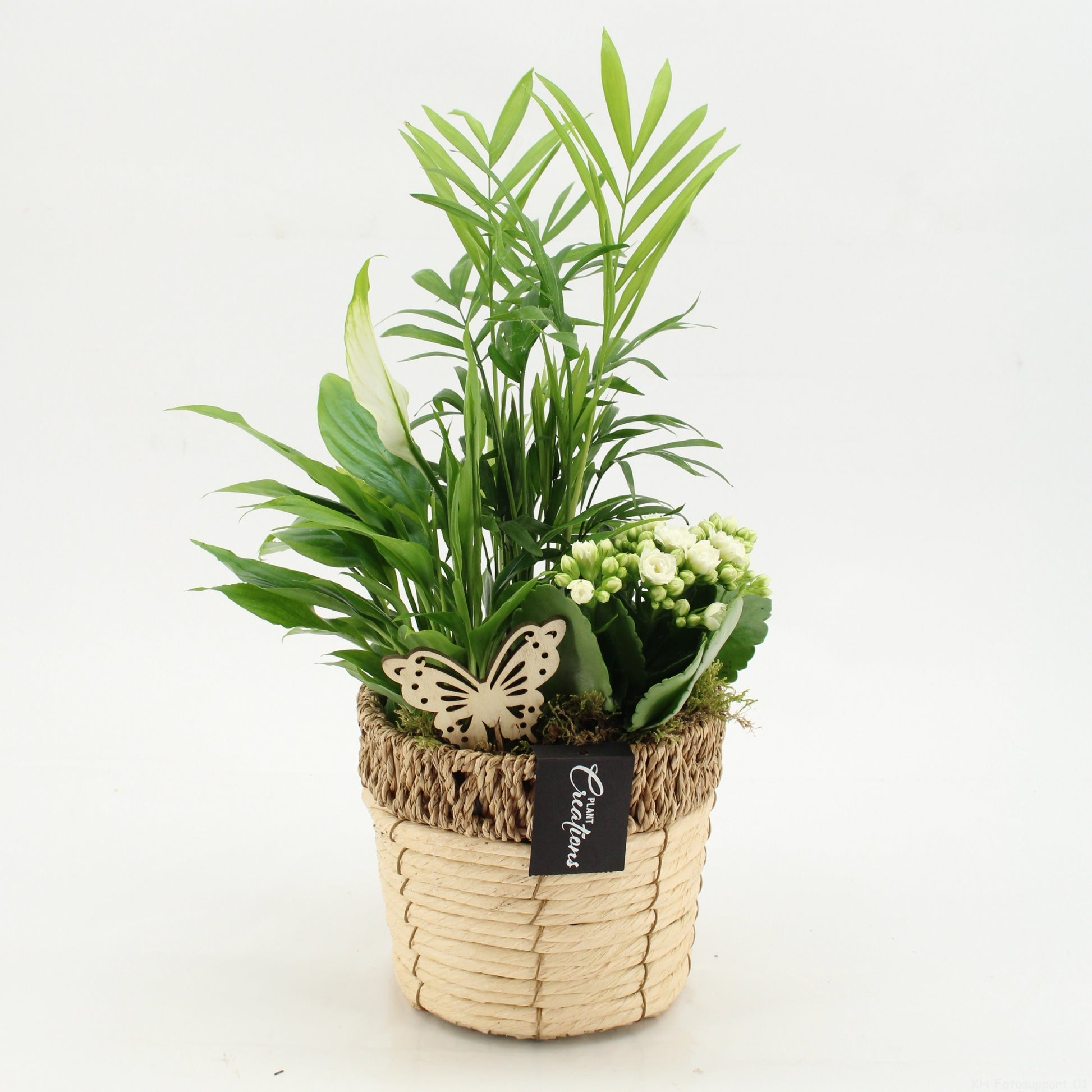 ESCR-2611W Essentials 45cm 16cm Pot