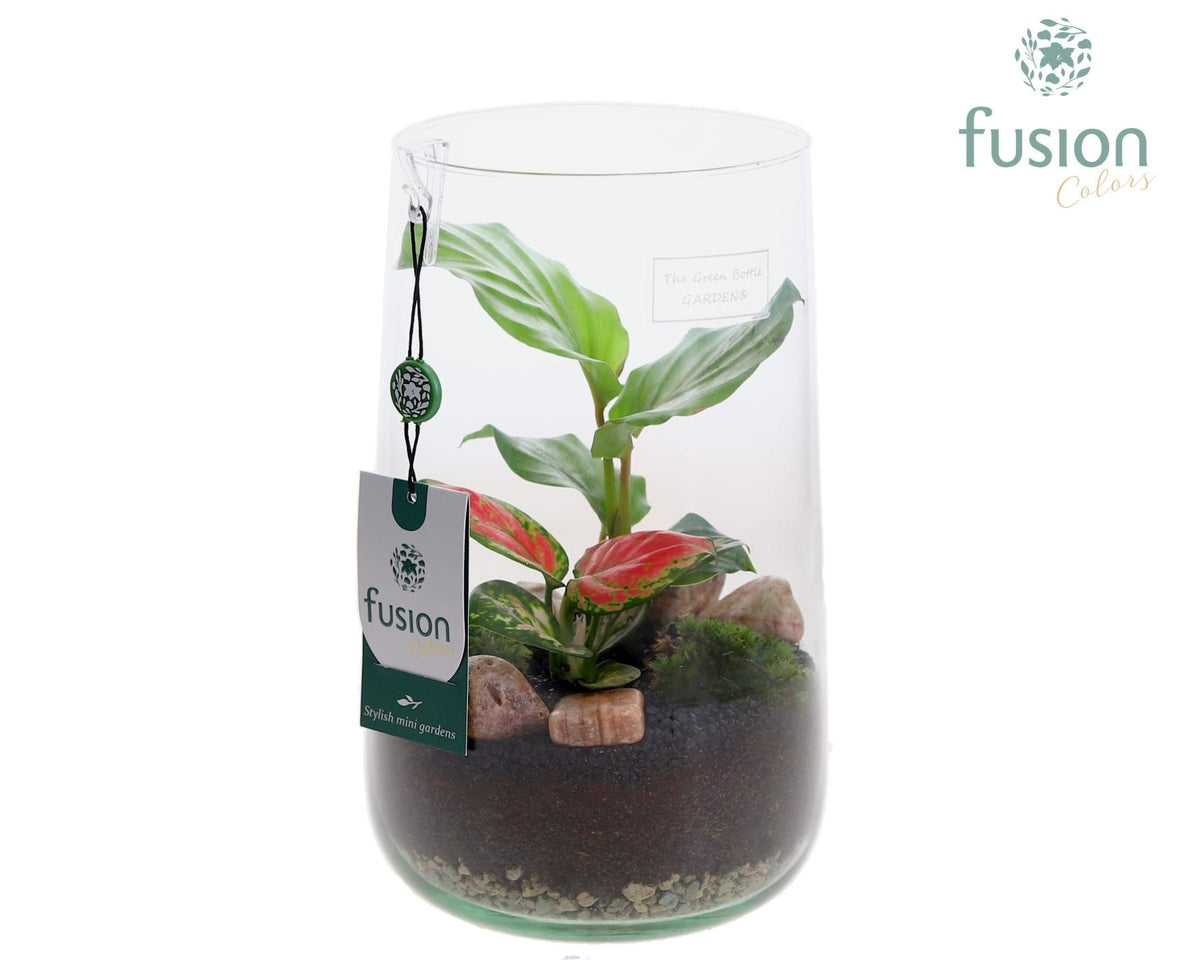 Green Bottle Deline Large met groene planten 25cm 15cm Pot