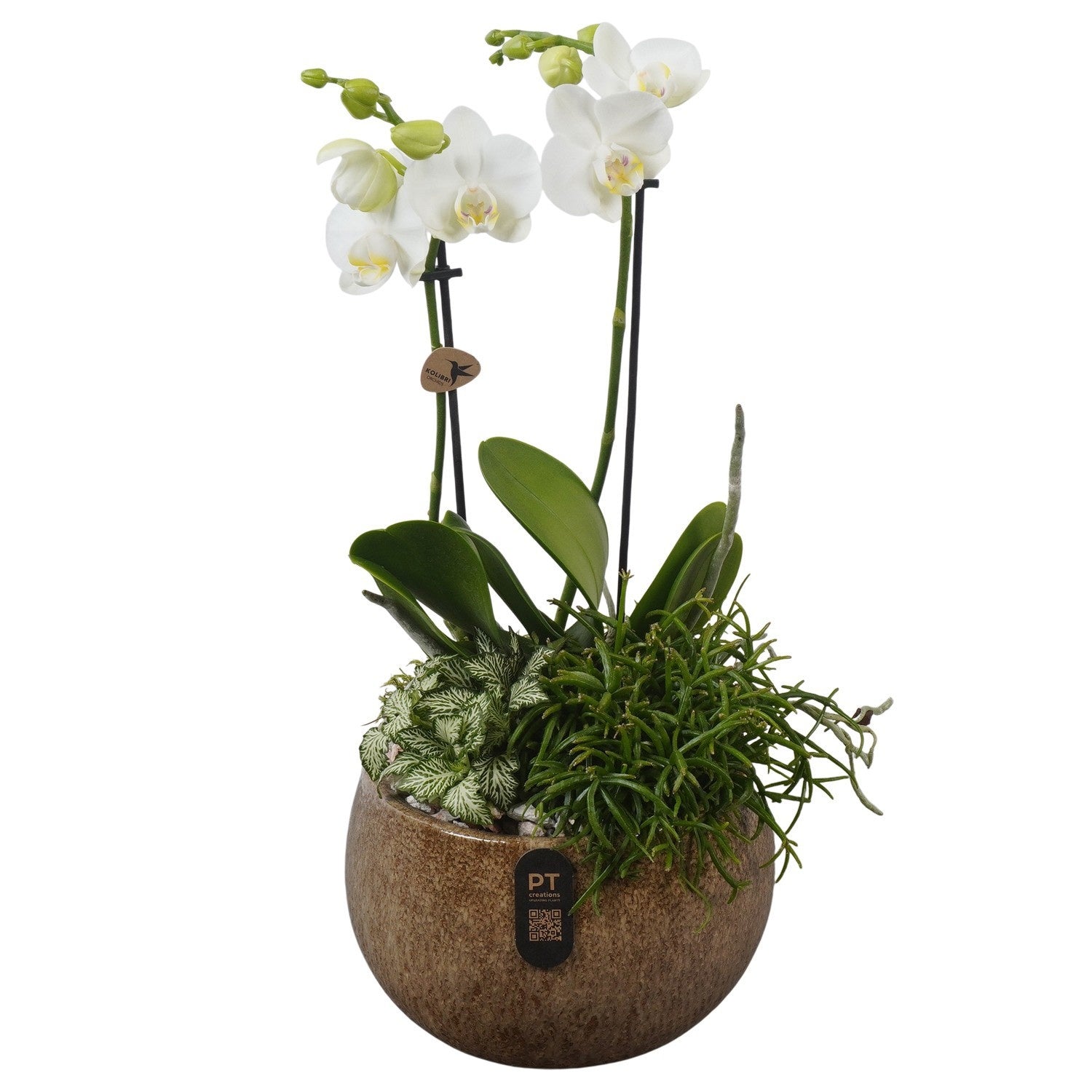 Indoor arrangement 44cm 19cm Pot