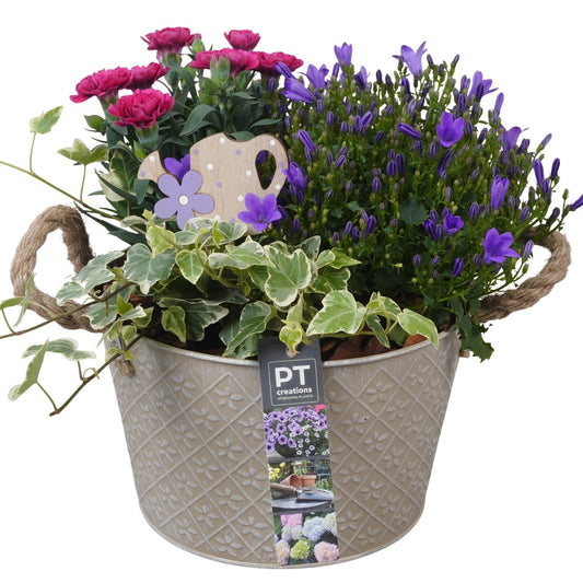 arr. PM196 27cm 21cm Pot