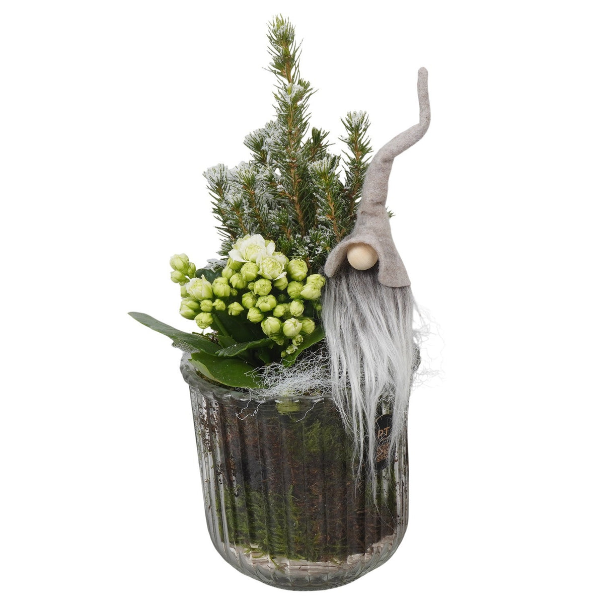 Christmas arrangement 29cm 12cm Pot