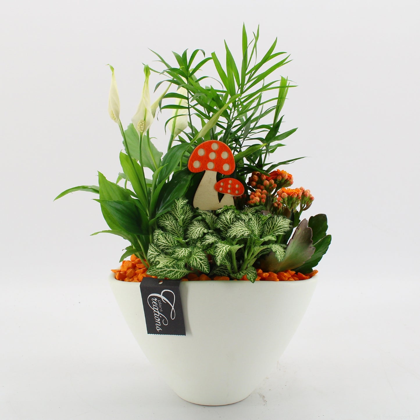 BHCR-2612 Autumn Fundamentals 40cm 21cm Pot