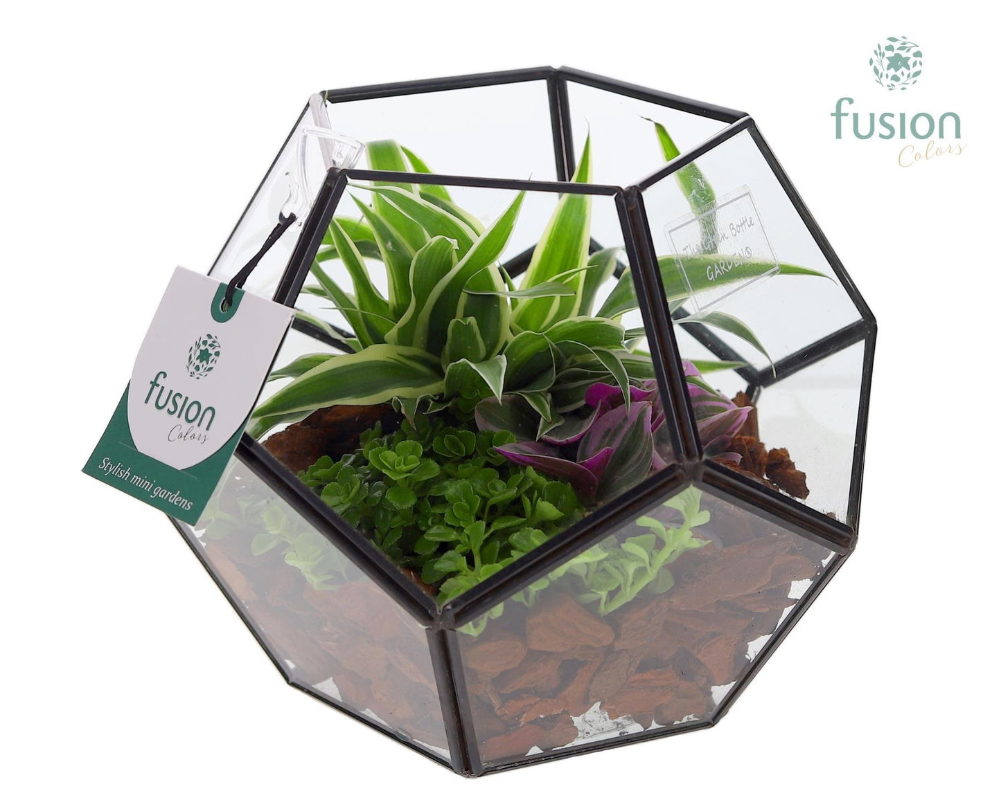 Geometrisch planter met groenen planten arrangement 15cm 16cm Pot