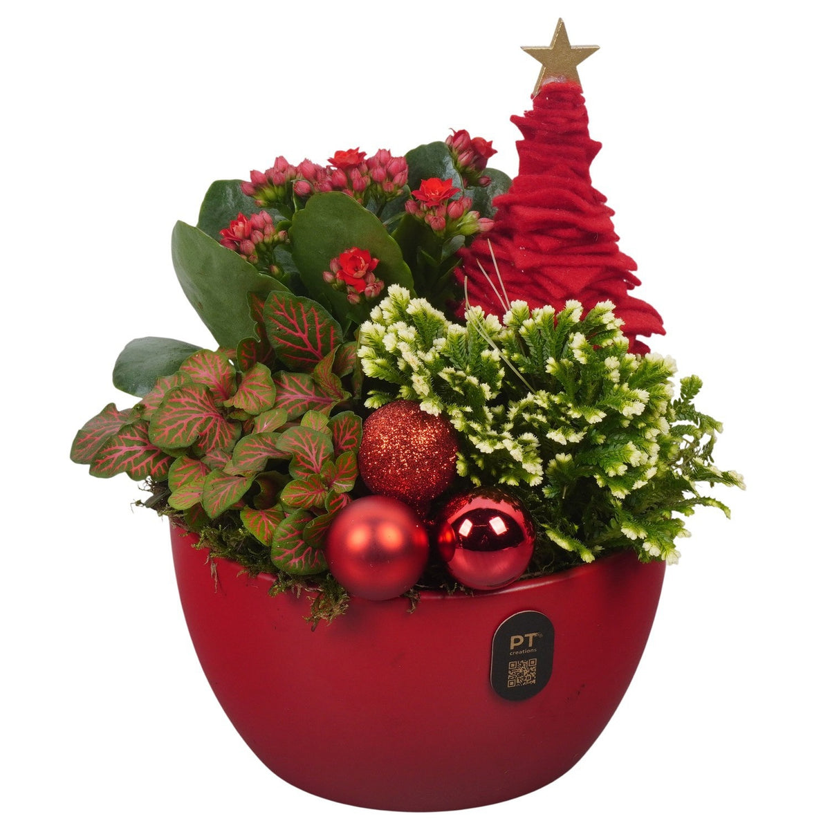 Christmas arrangement 22cm 16cm Pot