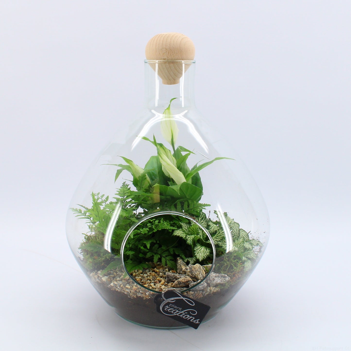 Indoor green arrangement 35cm 26cm Pot