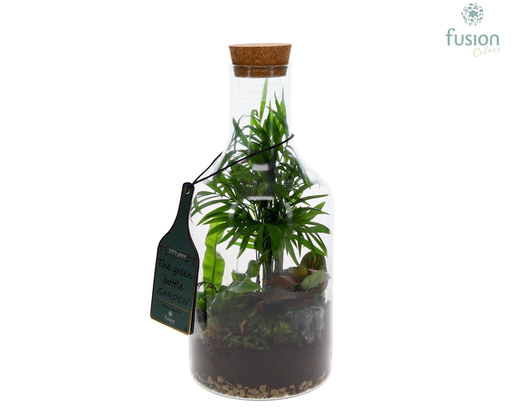 Fusioncolors BV Green Bottle Fles Small met Groene planten 3pp Pack of 6
