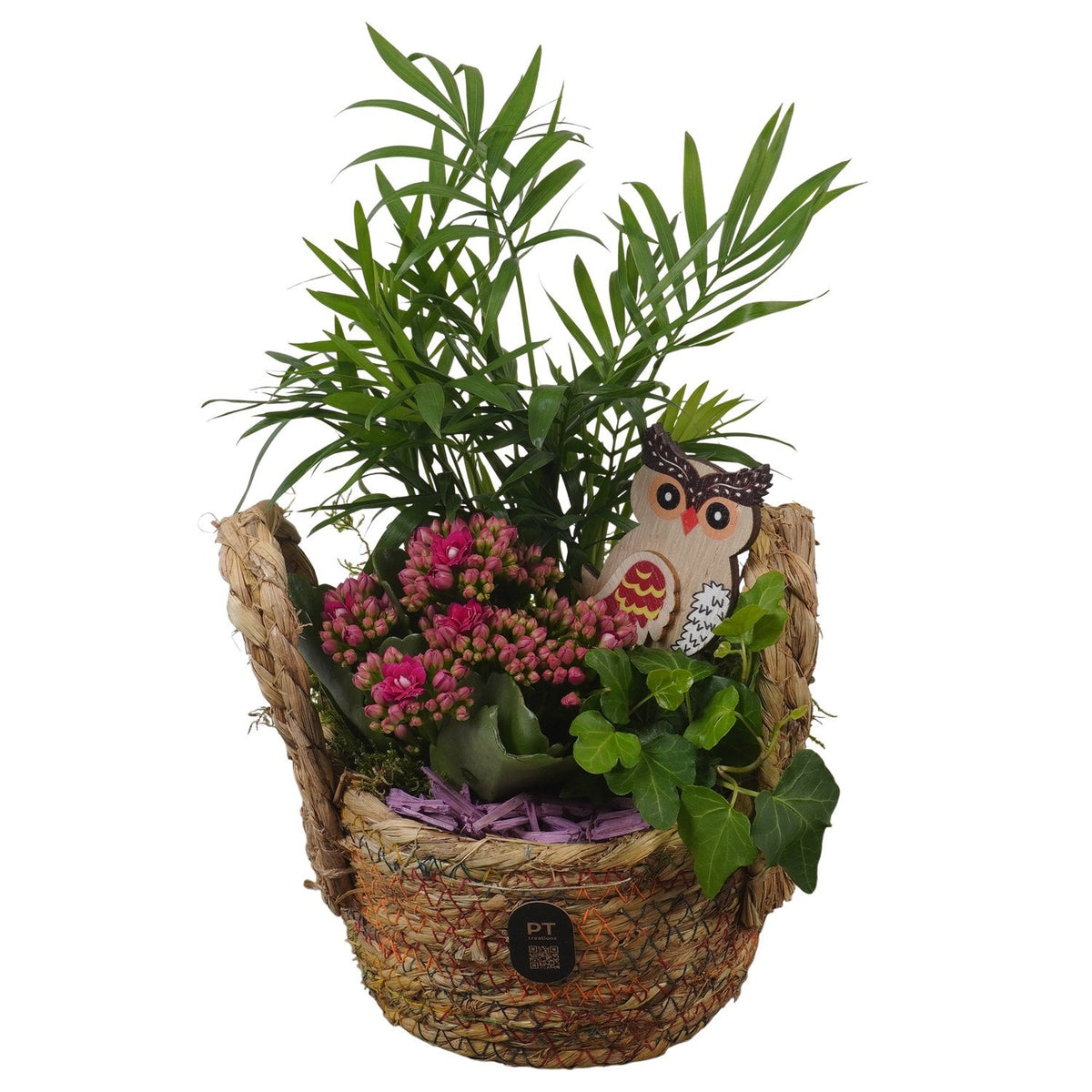 Indoor arrangement 32cm 16cm Pot