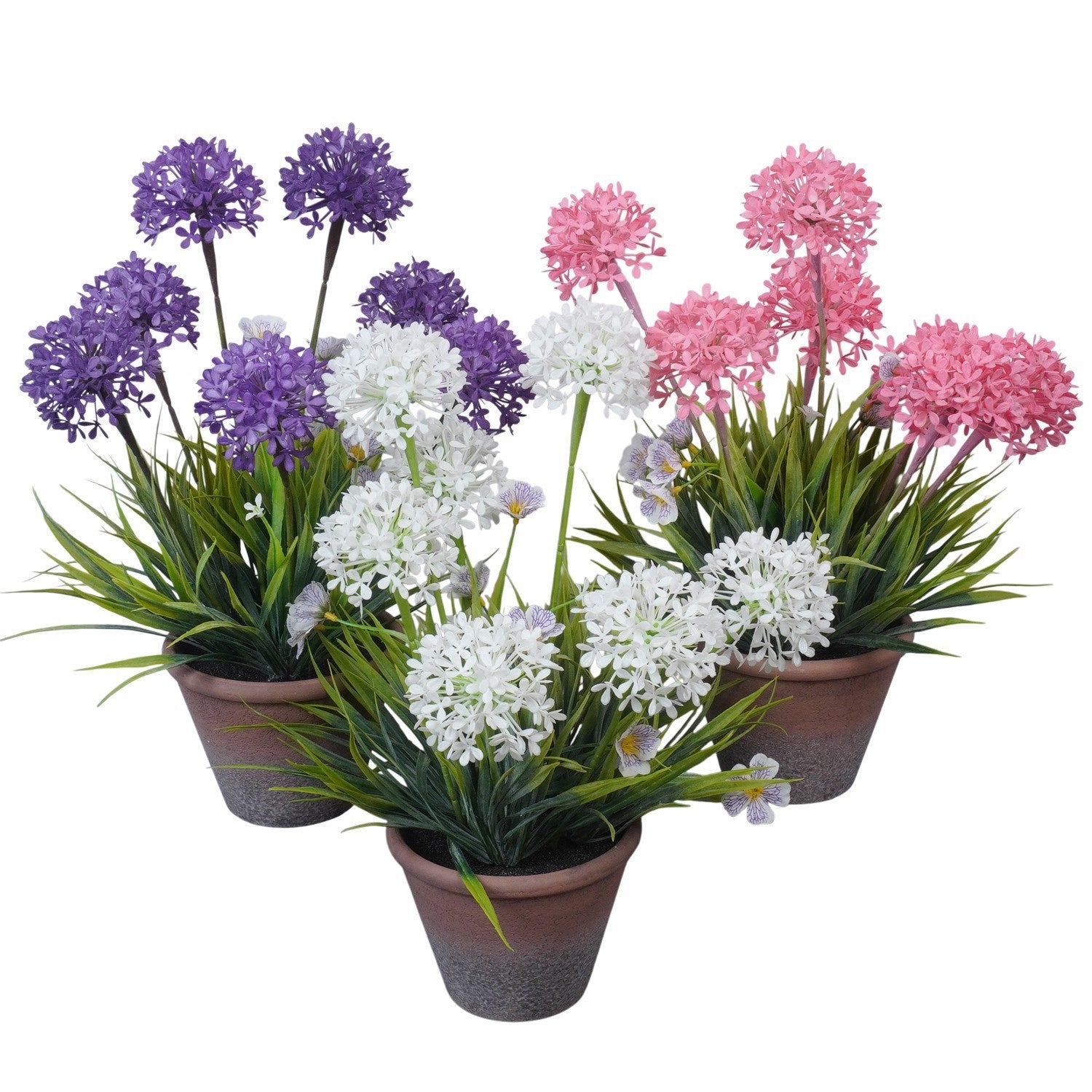 PT-Creations BV Lilac de chine p kg Pack of 6