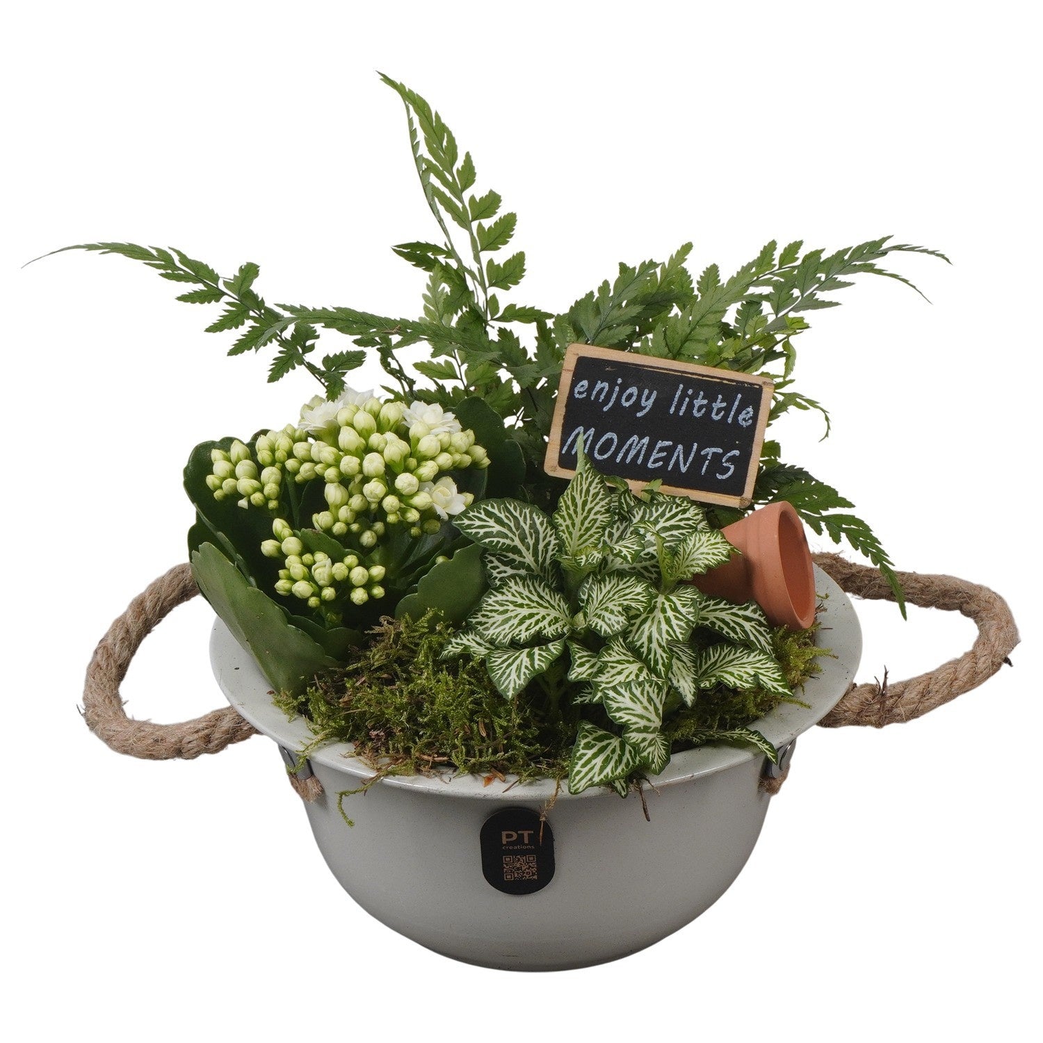 Indoor arrangement 19cm 18cm Pot