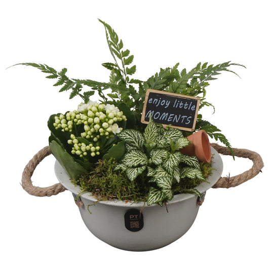 Indoor arrangement 19cm 18cm Pot
