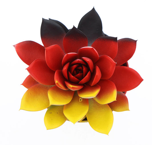 Rainbow Germany 10cm Special Pot (508)