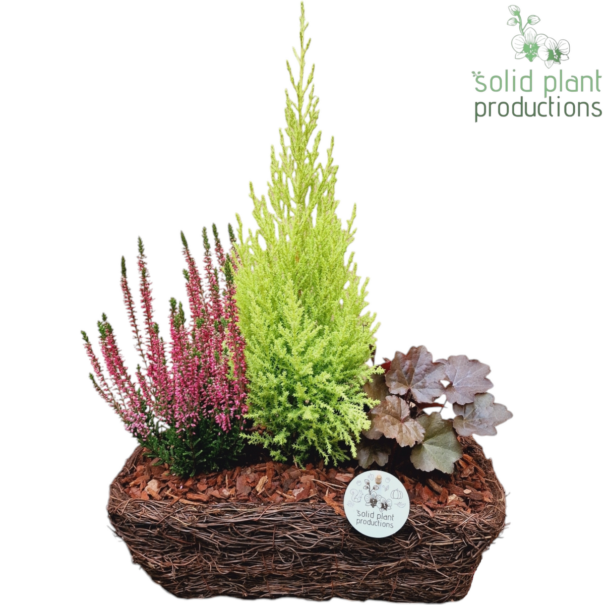 SRMC001 Salim S Medium 45cm 26cm Pot