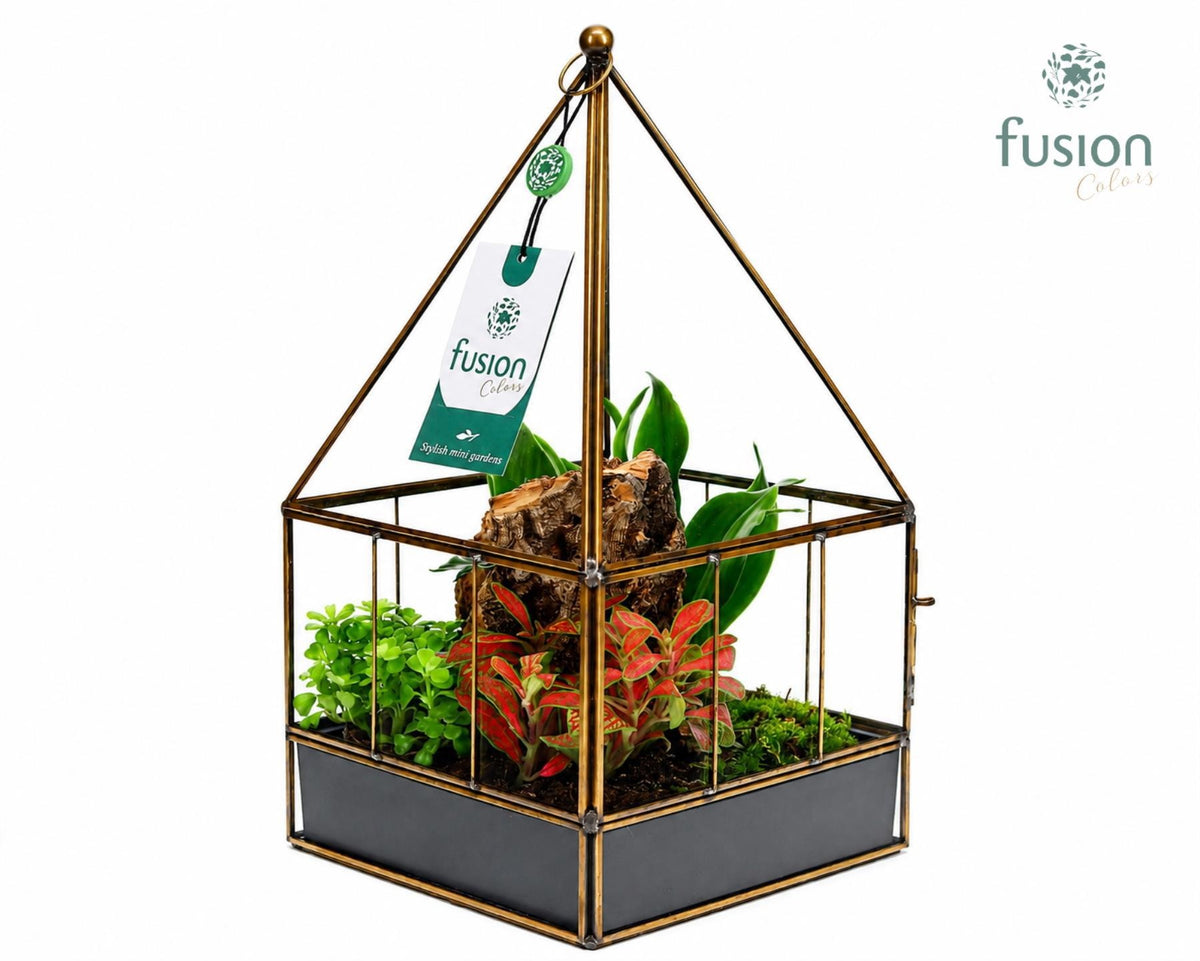 Geometrisch Glazen terrarium huis met arrangement 29cm 16cm Pot