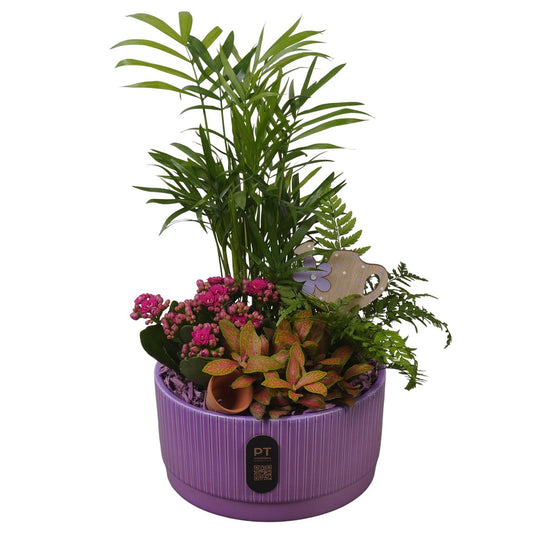Indoor arrangement 37cm 19cm Pot