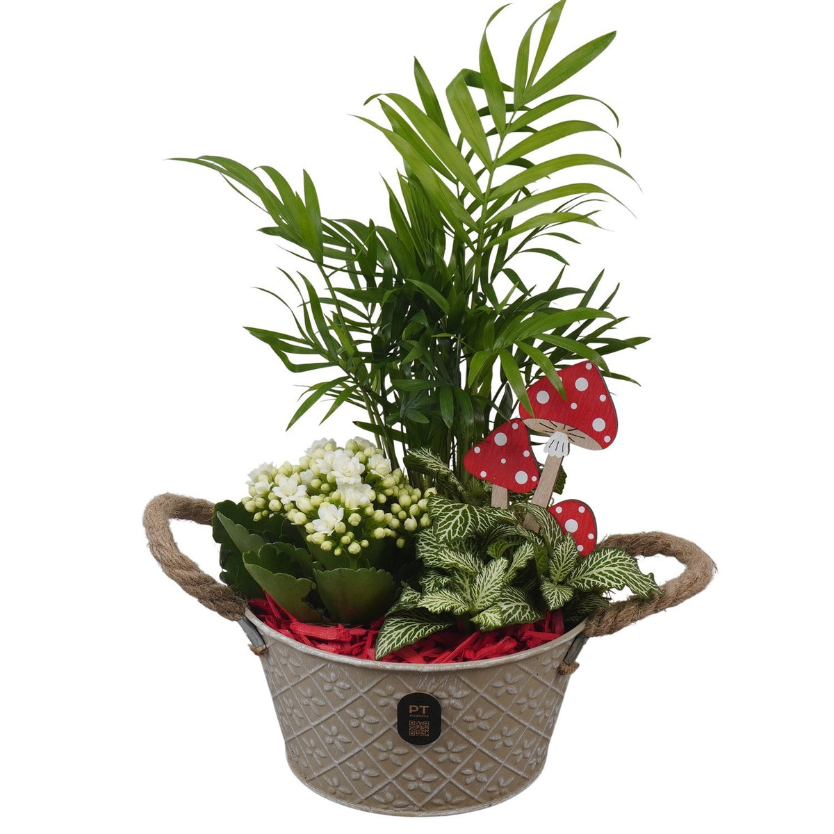 Indoor arrangement 31cm 17cm Pot