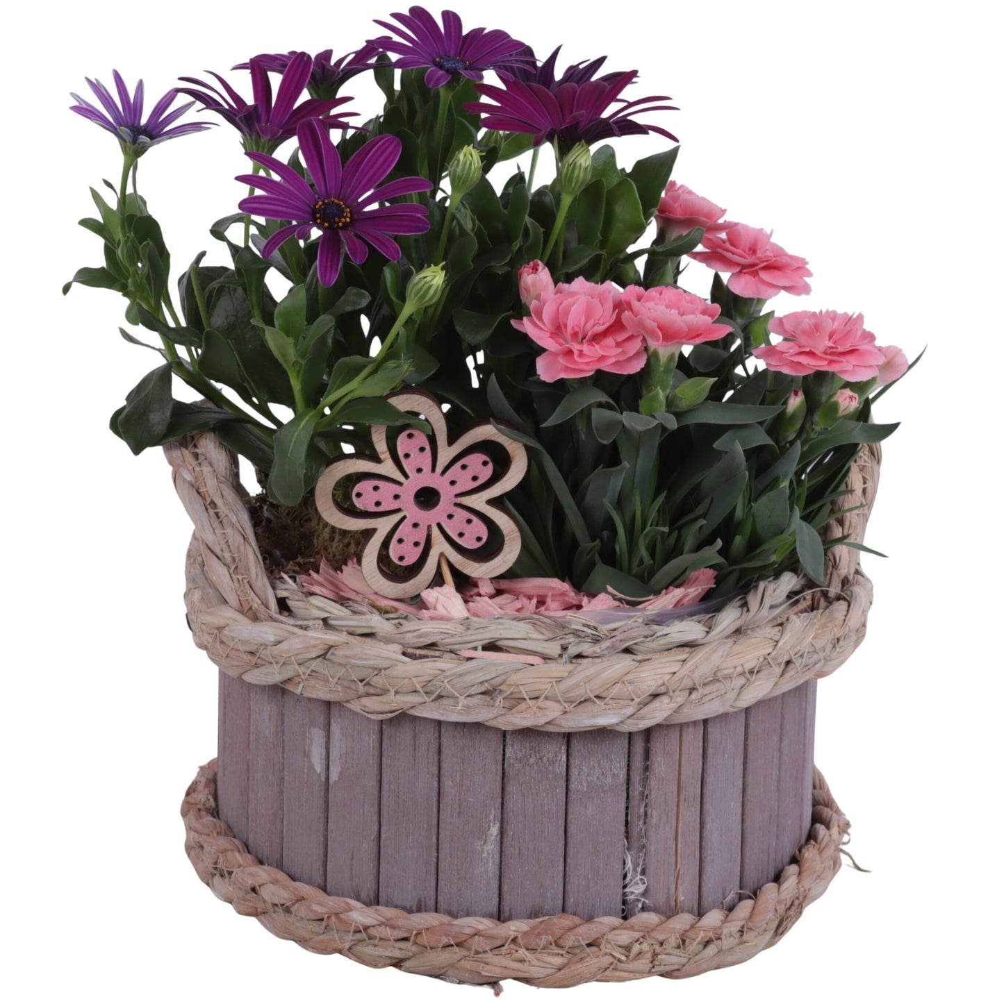 Outdoor arrangement 20cm 19cm Pot