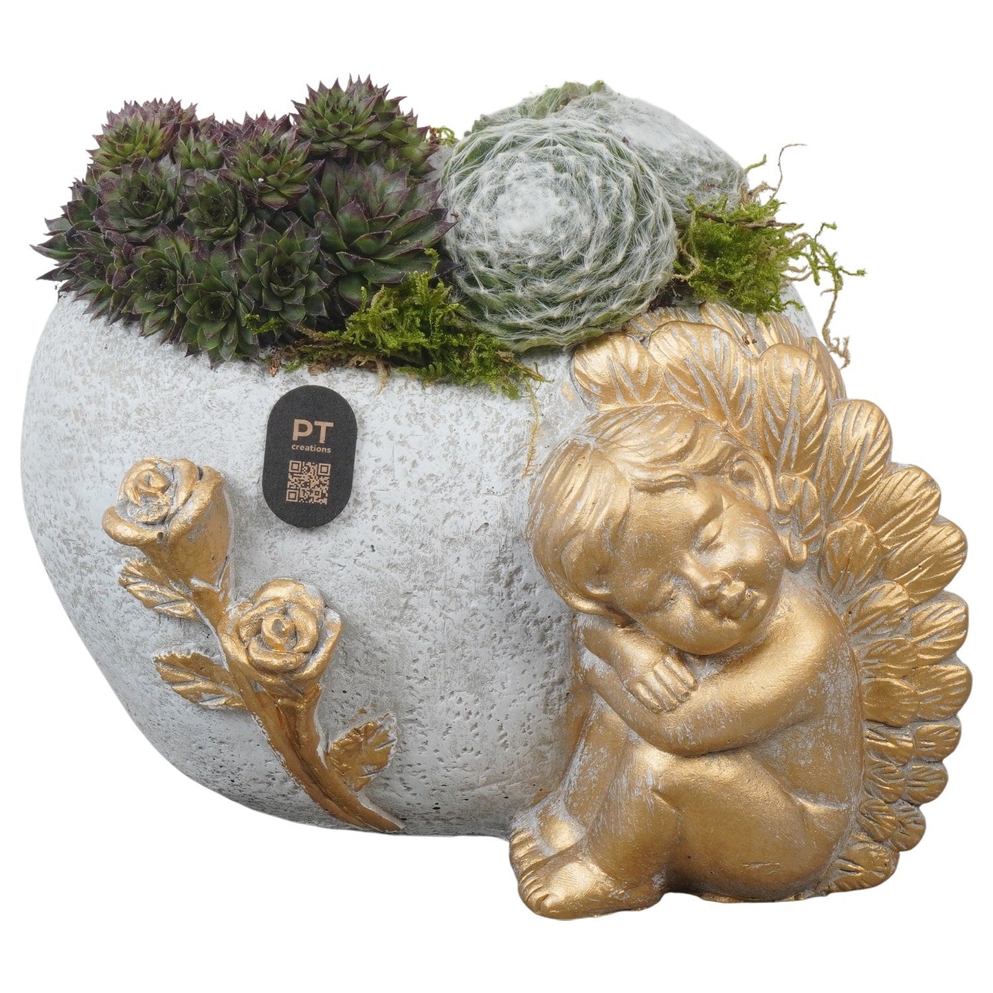 arr-jsal-2003-14cm-21cm-pot