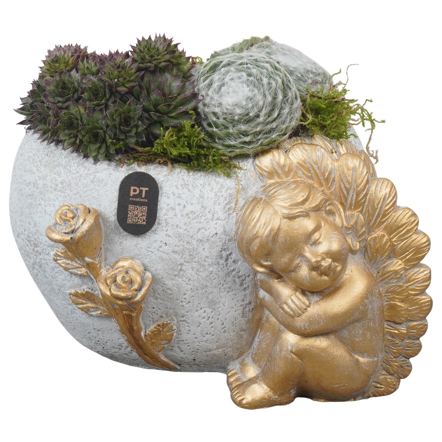 arr-jsal-2003-14cm-21cm-pot