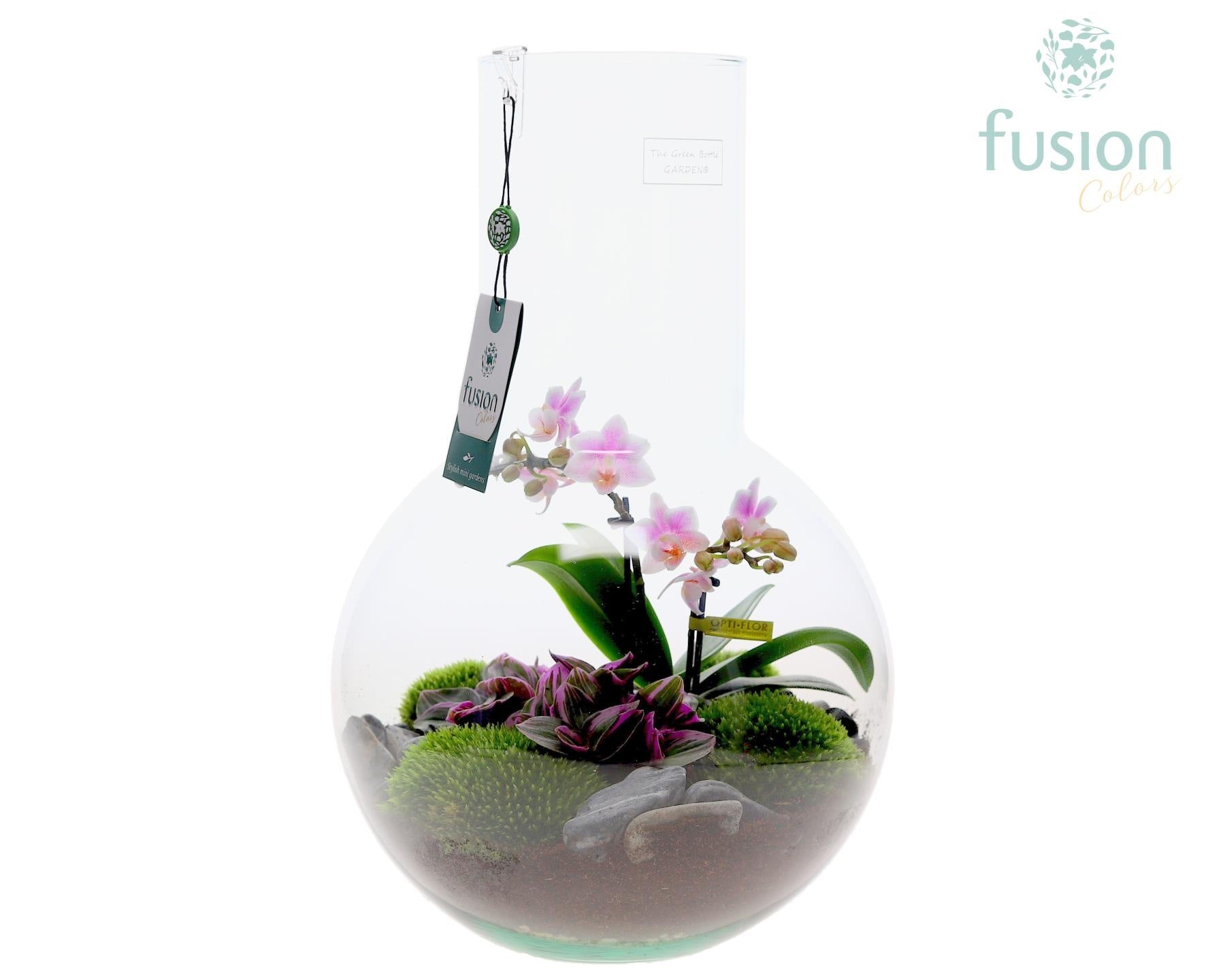 Green Bottle Suzanne Large met Phalaenopsis arrangement 43cm 26cm Pot
