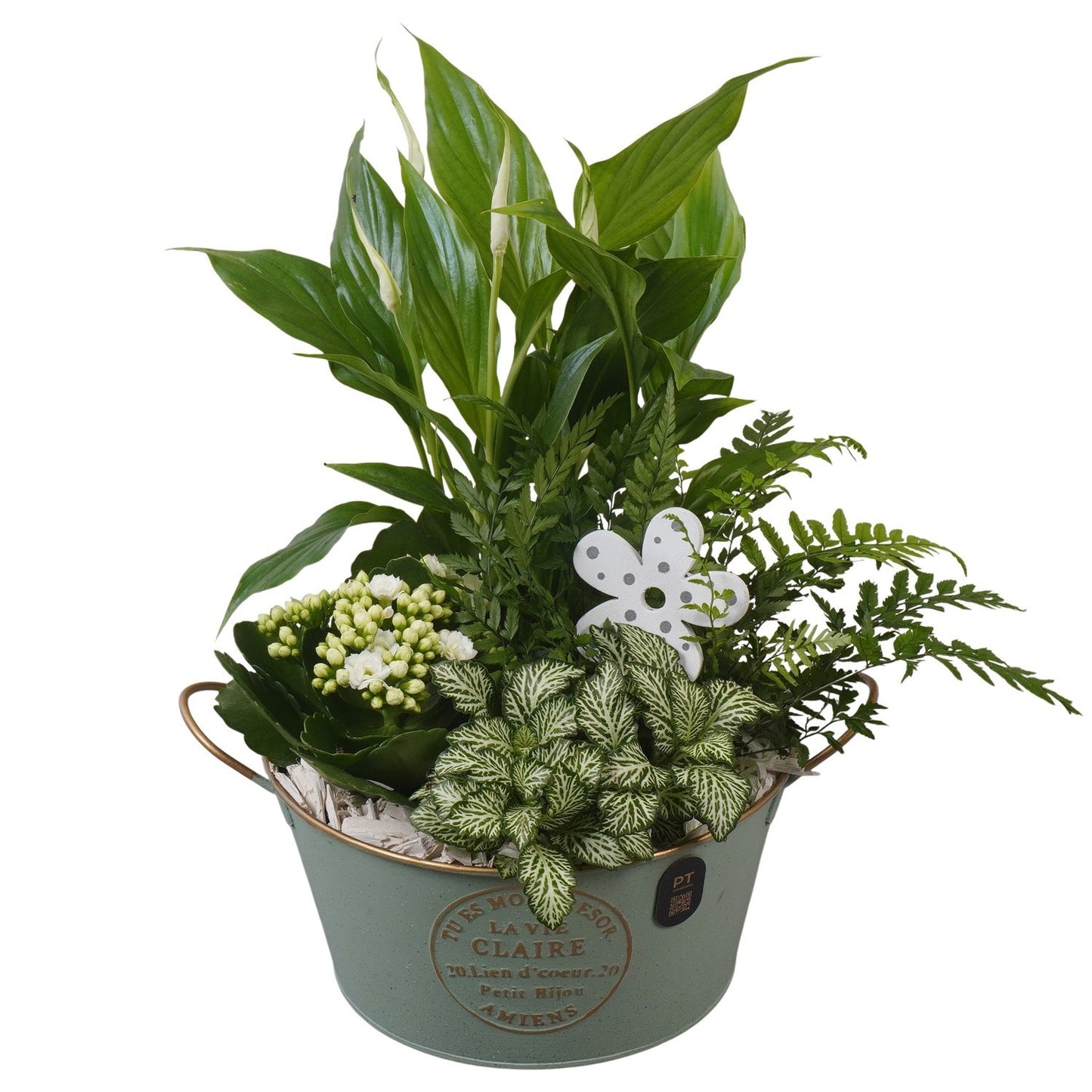 Indoor arrangement 34cm 20cm Pot