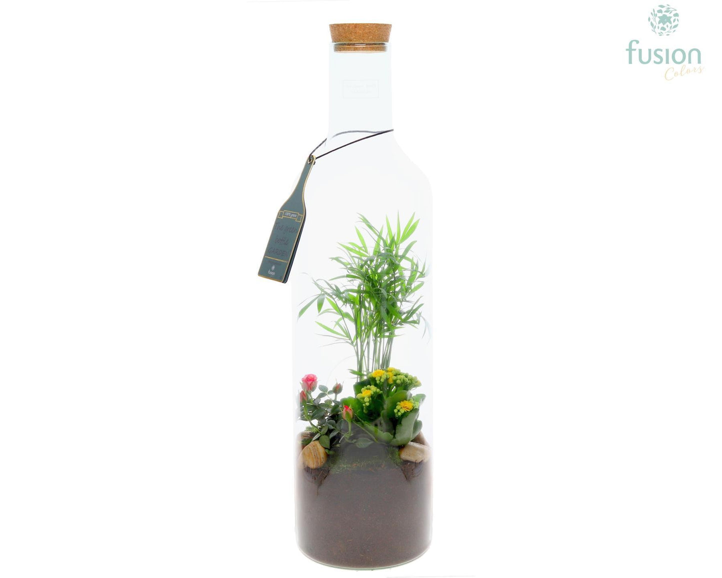 Fusioncolors BV Green Bottle Fles XLarge met Arrangement 3pp Pack of 4