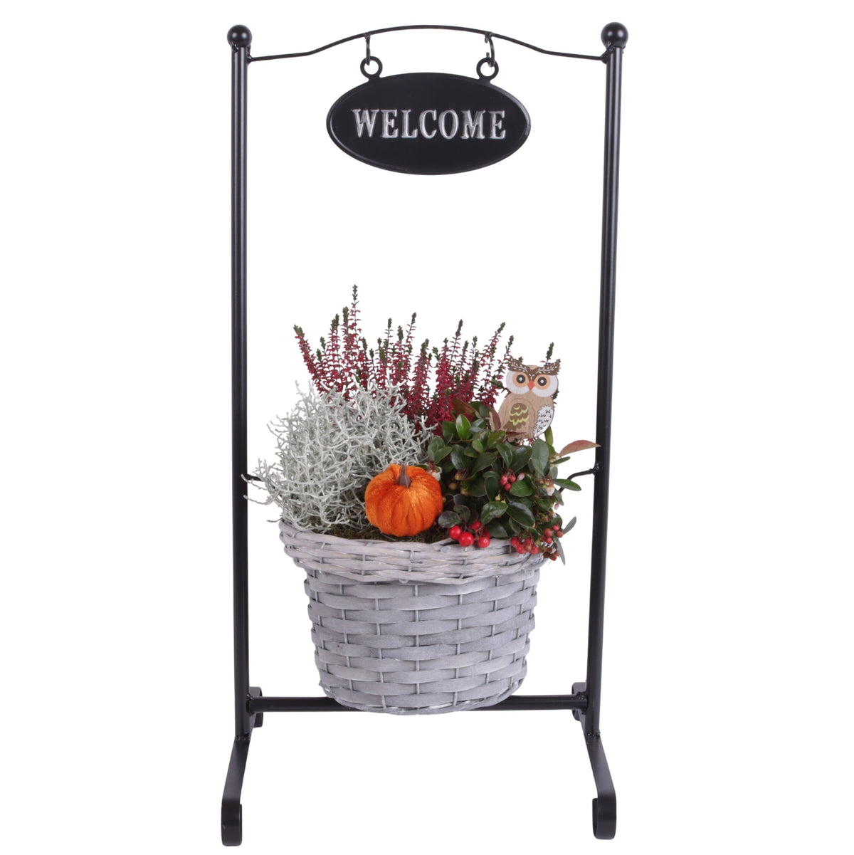 Outdoor arrangement 60cm 20cm Pot