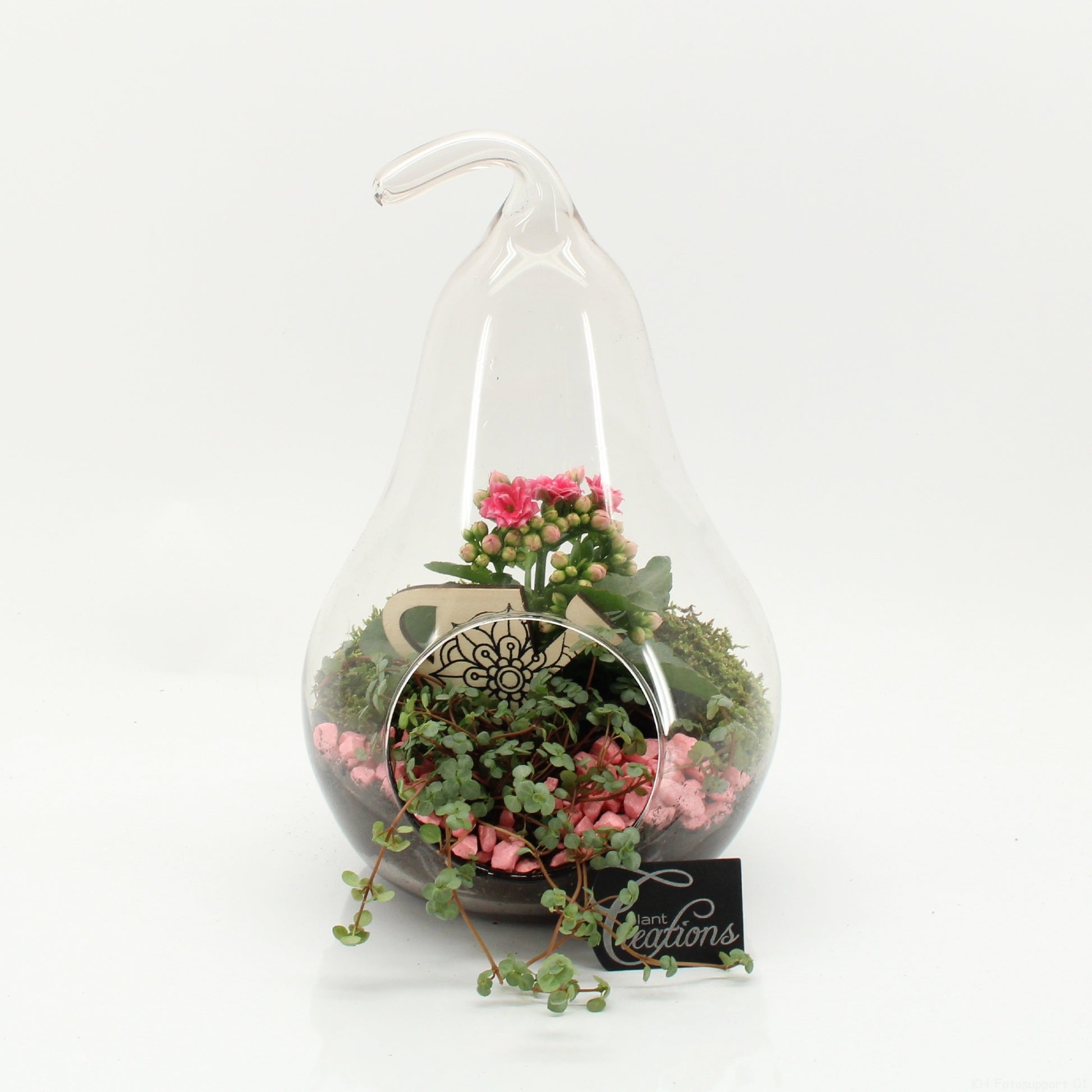ESCR-2632RZ Essentials terrarium 30cm 18cm Pot