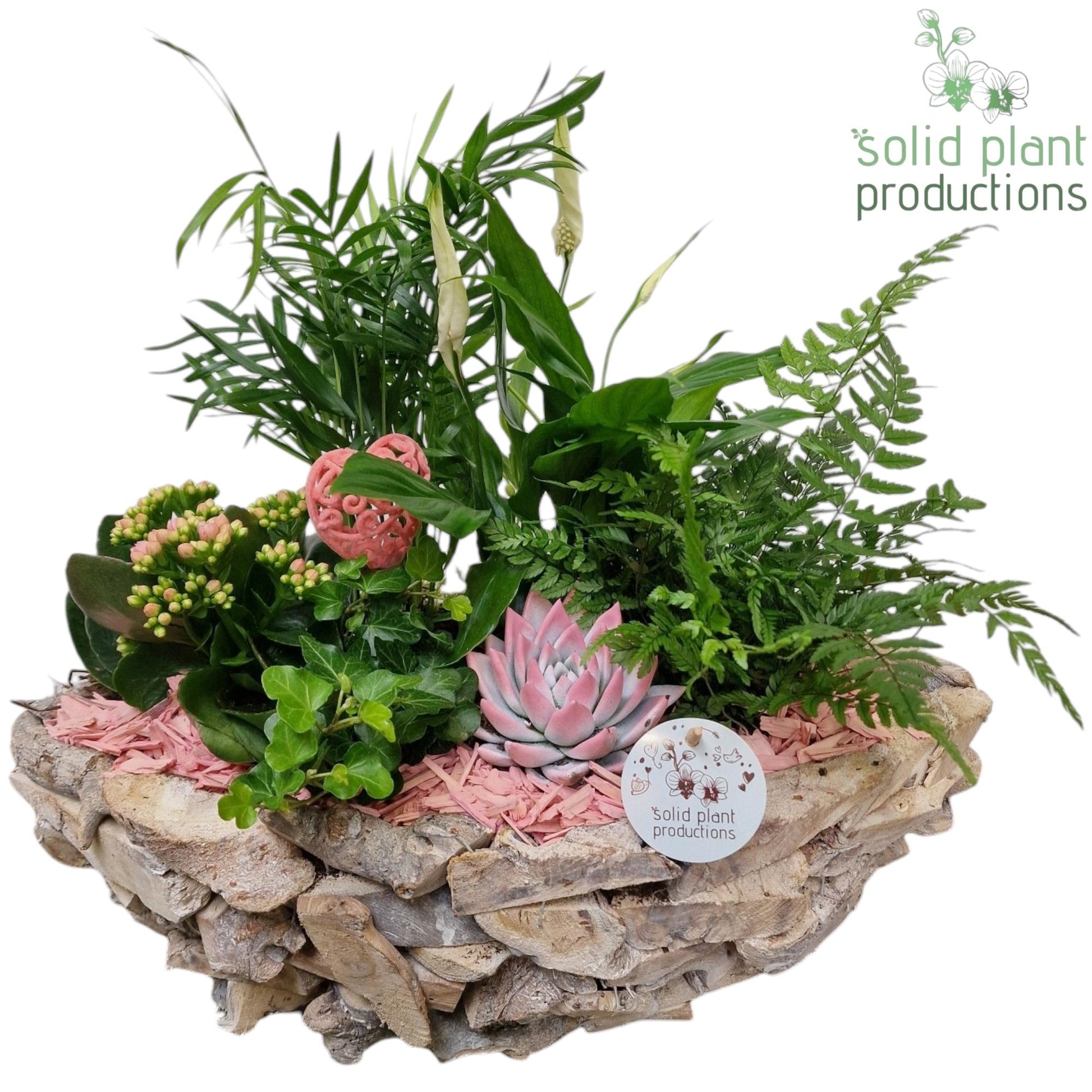 SCE012 Driftwood Boat White Washed Pink Love 45cm 46cm Pot