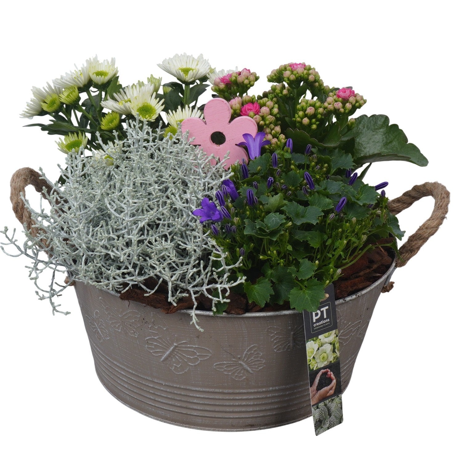 Outdoor arrangement 24cm 27cm Pot
