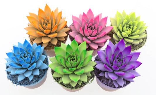 Rainbow spring mix 15cm 12cm Pot