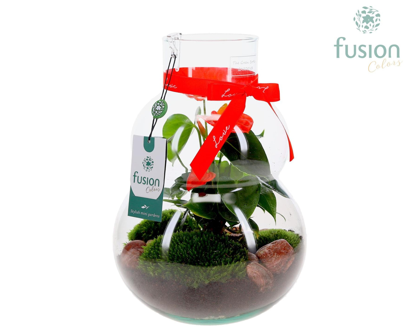 Fusioncolors BV Green Bottle Olaf Medium met Love arrangement Pack of 2