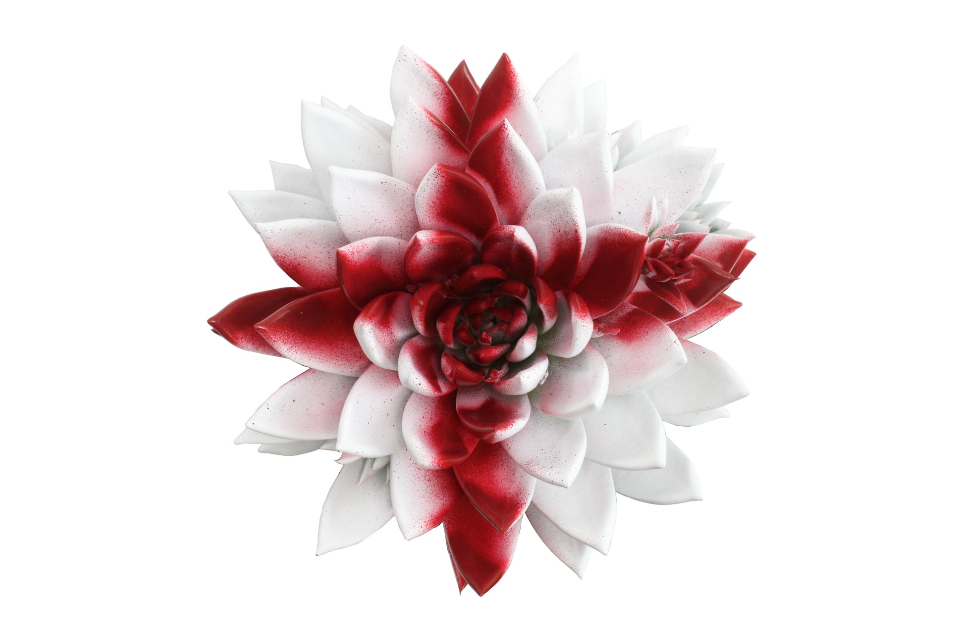 Miranda coloured flag England 8cm 6cm Pot