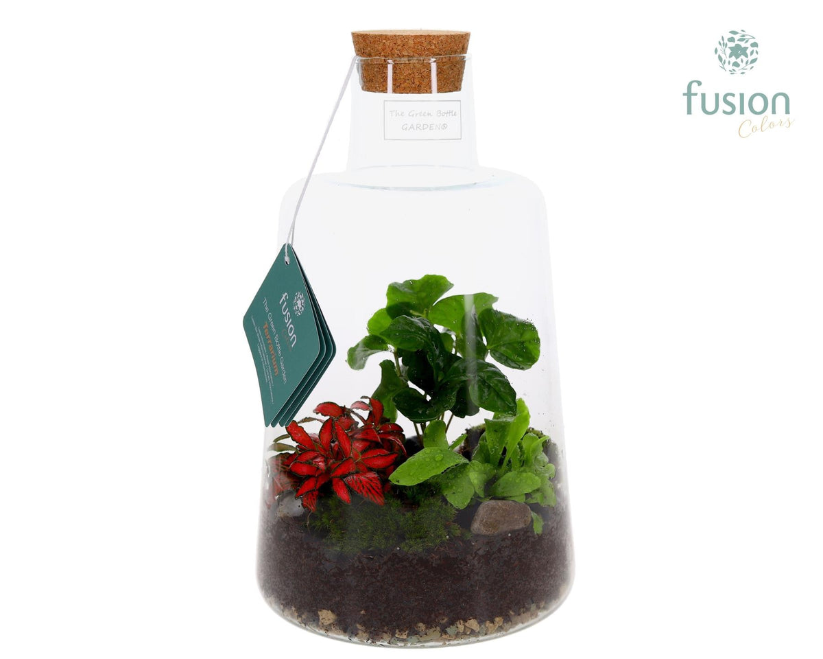 Glas Terrarium Elise met Arrangement 3pp 35cm 19cm Pot